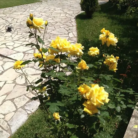 Dimitra Appartement Nydri (Lefkada)