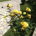 Dimitra Apartman Nidrí